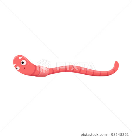 Cartoon funny earth worm crawl, vector earthworm character. Isolated soil or ground insect cute personage with big eyes and smiling face. Compost wildlife insect of pink color, invertebrate worm Cartoon funny earth worm crawl, vector earthworm character. Isolated soil or ground insect cute personage with big eyes and smiling face. Compost wildlife insect of pink color, invertebrate worm 98548261