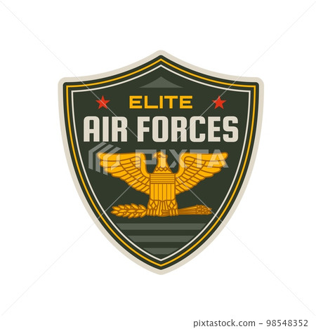 Elite air forces icon of vector military badge with gold eagle, spread wings, arrows and stars. Air forces or aircraft armed services patch, emblem and insignia with isolated heraldic shield and bird 98548352