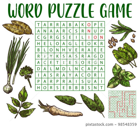 Herbs, spices and seasonings sketch, word search puzzle game worksheet, vector quiz grid. Find word of spices and herbs of tarragon, angelica or onion, coriander and parsley, sorrel and bay leaf 98548359
