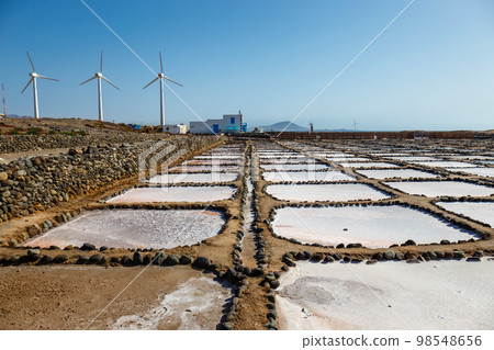 Gran Canaria, Salinas de Tenefe salt evaporation ponds, southeastern part of the island, pink color created by Dunaliella salina algae Gran Canaria, Salinas de Tenefe salt evaporation ponds, southeastern part of the island, pink color created by Dunaliella salina algae 98548656