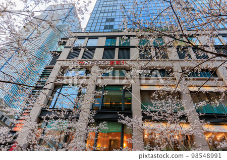 Urban scenery of Nihonbashi Muromachi, Tokyo Coredo Muromachi and cherry blossoms on Edo Sakura Street 98548991
