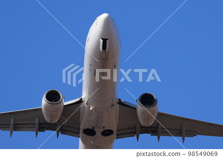 Airplane landing 98549069