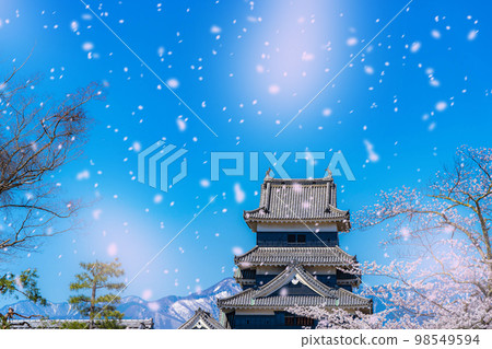 [Sakura blizzard image] Matsumoto Castle with falling cherry blossoms [Nagano Prefecture] 98549594