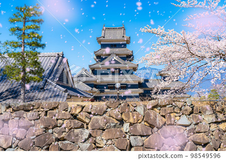 [Sakura blizzard image] Matsumoto Castle with falling cherry blossoms [Nagano Prefecture] 98549596