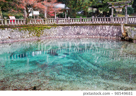 Beppu Bentenkei 98549681