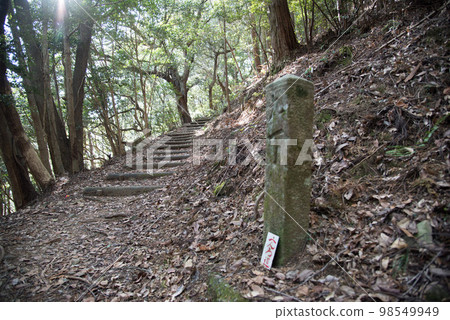 冬季阿波巡禮覺林寺路 98549949