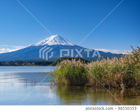 山梨縣_從河口湖看到的白雪皚皚的富士山 山梨縣_從河口湖看到的白雪皚皚的富士山 98550353