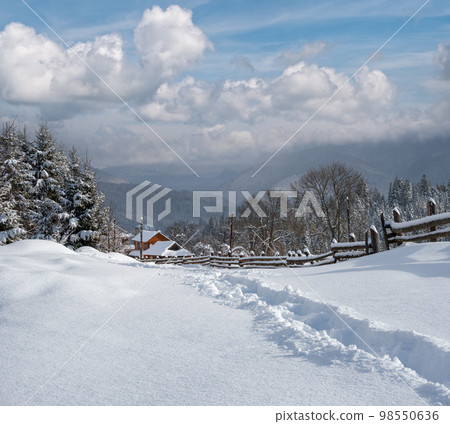 Countryside hills, groves and farmlands in winter remote alpine mountain village 98550636