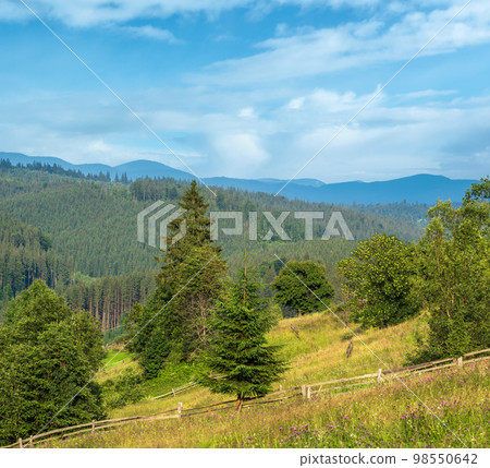 Picturesque summer Carpathian mountain countryside, Ukraine. 98550642
