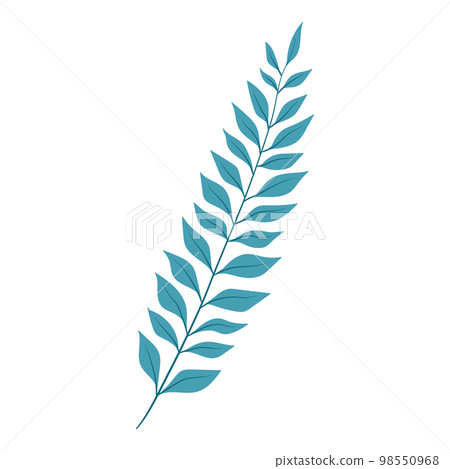 Isolated colored summer leaf sketch icon Vector 98550968