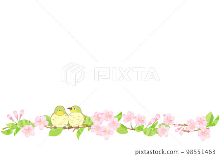 櫻花白眼框背景素材 98551463