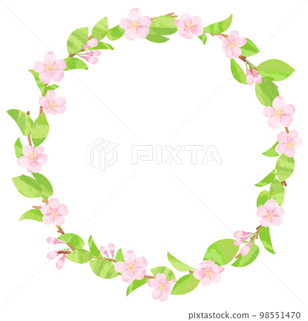 Cherry blossom sprouts and flowers wreath frame illustration material Cherry blossom sprouts and flowers wreath frame illustration material 98551470