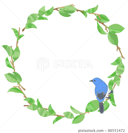 Frame background material of young leaves and blue birds 98551472