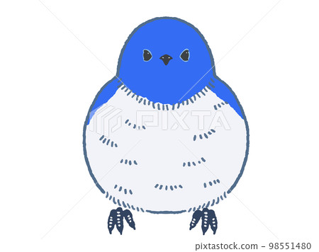 Blue bird vector illustration material Blue bird vector illustration material 98551480