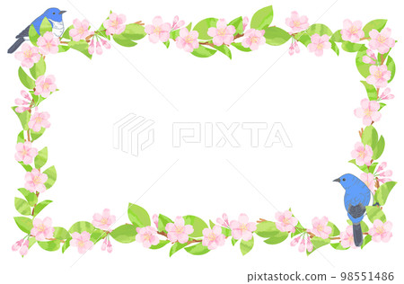 Sakura and blue bird frame background material Sakura and blue bird frame background material 98551486