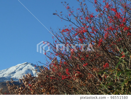 秋天的鳥海山及其周邊地區 秋天的鳥海山及其周邊地區 98551580