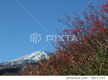 秋天的鳥海山及其周邊地區 秋天的鳥海山及其周邊地區 98551581