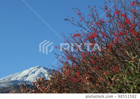 秋天的鳥海山及其周邊地區 秋天的鳥海山及其周邊地區 98551582