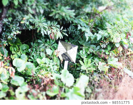 Kannon station Kannon station 98551775