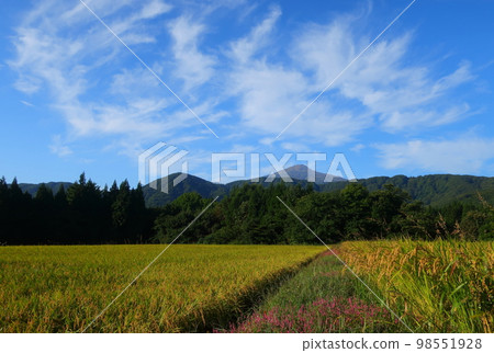 Mt. Chokai and its surroundings in autumn Mt. Chokai and its surroundings in autumn 98551928