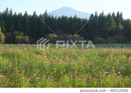 Mt. Chokai and its surroundings in autumn 98552408