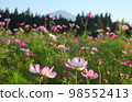 Mt. Chokai and its surroundings in autumn 98552413