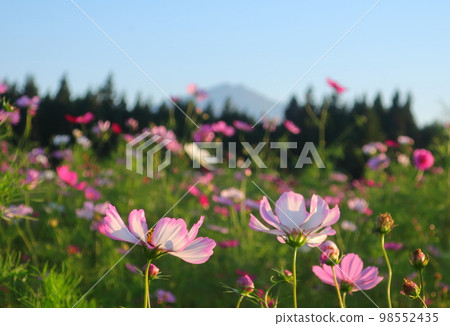 Mt. Chokai and its surroundings in autumn 98552435