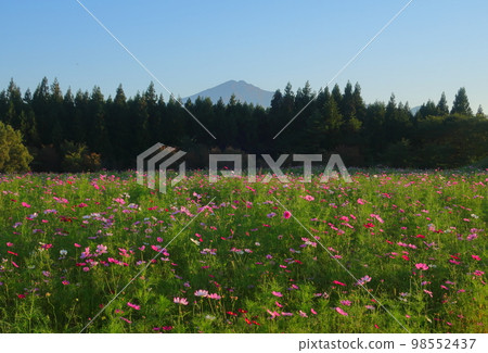 Mt. Chokai and its surroundings in autumn 98552437