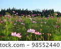 Mt. Chokai and its surroundings in autumn 98552440