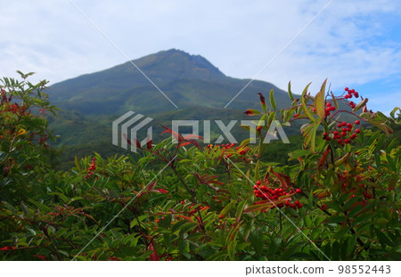 Mt. Chokai and its surroundings in autumn 98552443