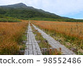 Mt. Chokai and its surroundings in autumn 98552486