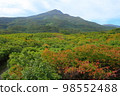 Mt. Chokai and its surroundings in autumn 98552488