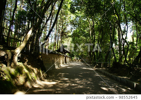 唐招提寺/土牆 98552645