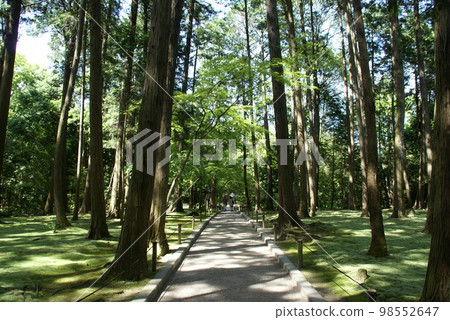 唐招提寺和苔蘚花園 98552647