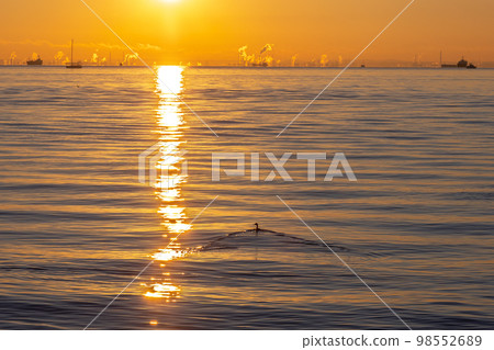 從若洲海濱公園看到的第一個日出 從若洲海濱公園看到的第一個日出 98552689