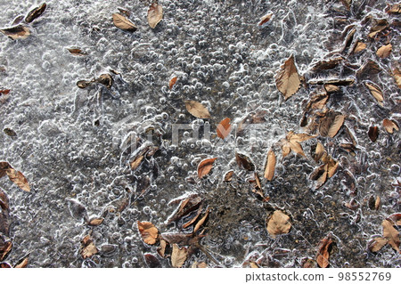 Winter landscape / ground covered with fallen leaves and ice 98552769