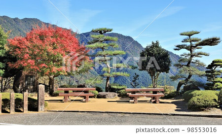 清岸渡寺庭園（和歌山縣那智勝浦町） 98553016