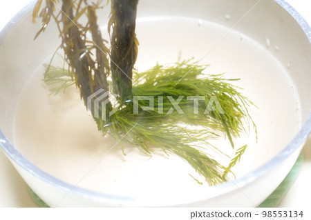 Red osmanthus gibasa ginkgo biloba half bright green in boiling water Red osmanthus gibasa ginkgo biloba half bright green in boiling water 98553134