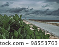 popular beach 98553763