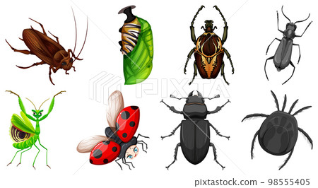 Set of different kinds of insects 98555405