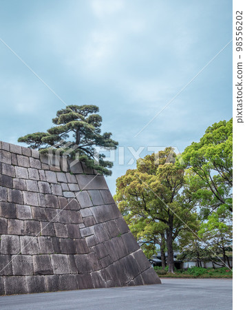 Edo Castle castle tower ruins 98556202