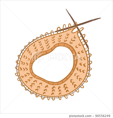 Vector color illustration of sample of knitted pattern on knitting needles 98556249