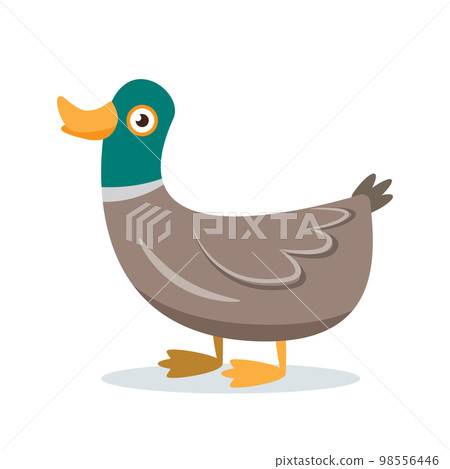 duck cartoon character vector illustration duck cartoon character vector illustration 98556446