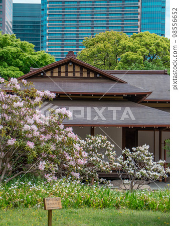 故宮的日本庭園 故宮的日本庭園 98556652