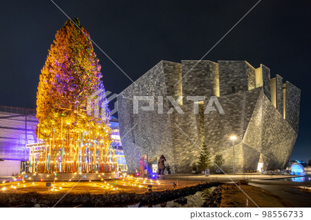 Tokorozawa Sakura Town Winter Illumination 98556733