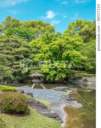 Japanese garden of fresh green Japanese garden of fresh green 98557124