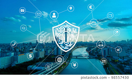 Cyber Security 98557430