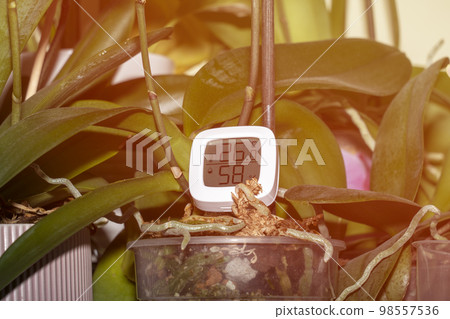 maintaining the temperature and humidity of the air necessary for indoor plants  98557536