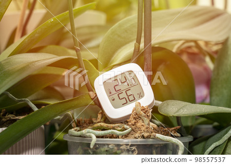 maintaining the temperature and humidity of the air necessary for indoor plants maintaining the temperature and humidity of the air necessary for indoor plants 98557537