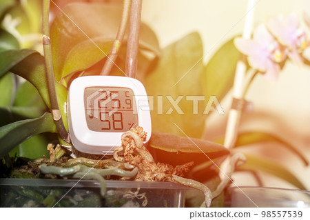 maintaining the temperature and humidity of the air necessary for indoor plants maintaining the temperature and humidity of the air necessary for indoor plants 98557539